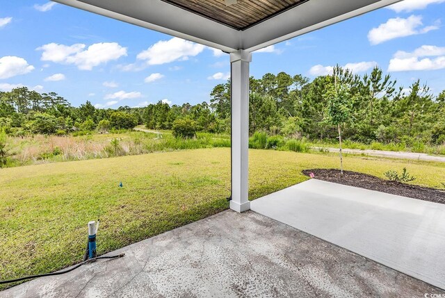 144 Sago Palm Dr, Myrtle Beach, SC 29579 - photo 37