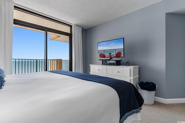 501 S Ocean Blvd Unit 1006, North Myrtle Beach, SC 29582 - bedroom featuring baseboards, carpet floors, a textured ceiling, and a water view