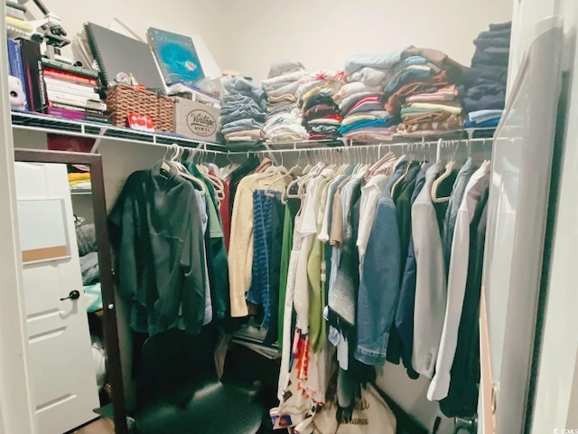 view of spacious closet