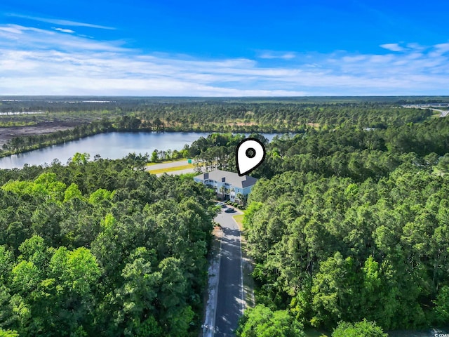 6253 Catalina Dr Unit 713, North Myrtle Beach, SC 29582 - aerial view of property's location featuring a forest and a large body of water