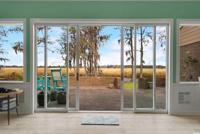 entryway with wood finished floors and a wealth of natural light