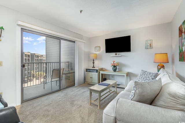 5905 S Kings Hwy Unit 439-B, Myrtle Beach, SC 29577 - living room with a textured ceiling and carpet