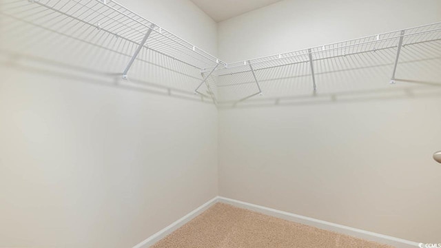 4521 E Coast Ln, Shallotte, NC 28470 - photo 16