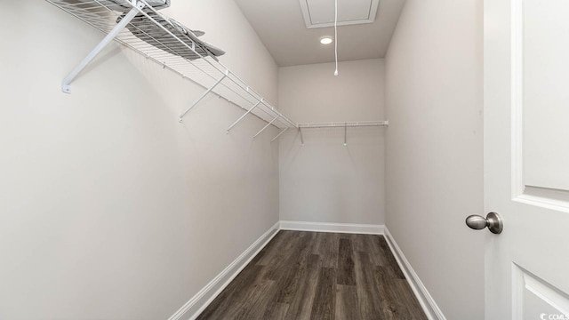 spacious closet featuring dark wood-style flooring and attic access