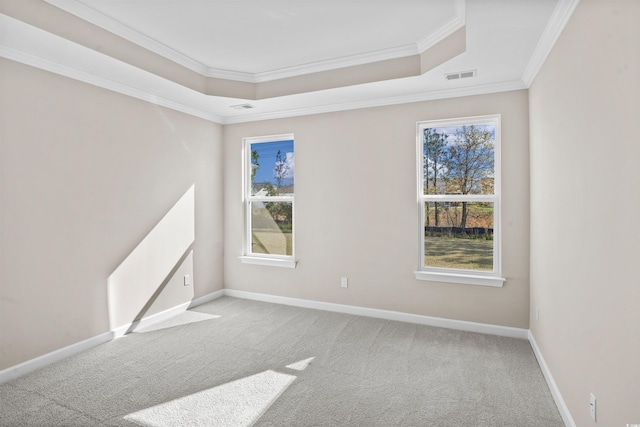 spare room with a raised ceiling, carpet floors, crown molding, and baseboards