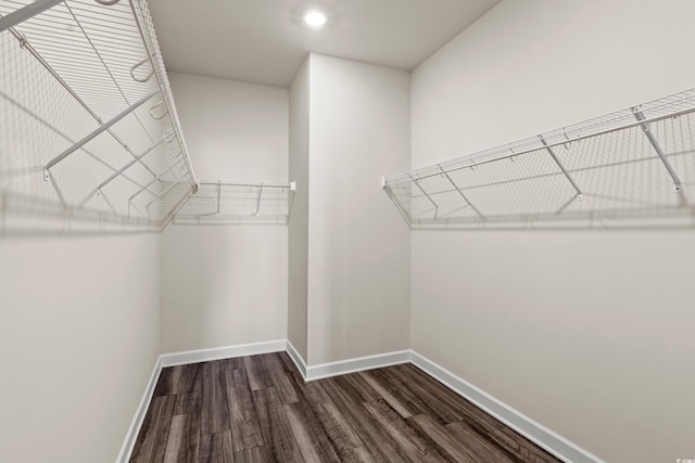 walk in closet featuring dark wood-type flooring