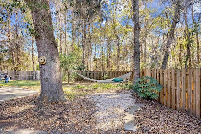 view of yard with a fenced backyard