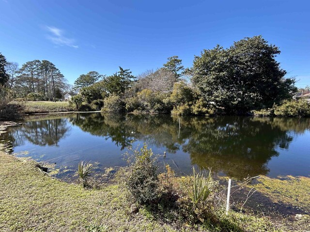 806 Duncan Ave, Myrtle Beach, SC 29572 - photo 11