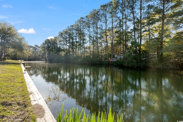 property view of water featuring a wooded view