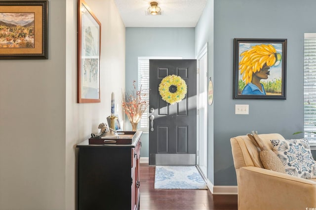 foyer featuring dark wood finished floors, baseboards, and plenty of natural light
