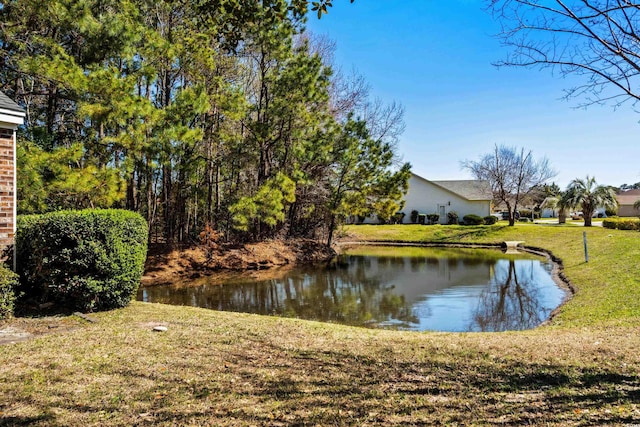 4195 Wrens Xing, Little River, SC 29566 - water view