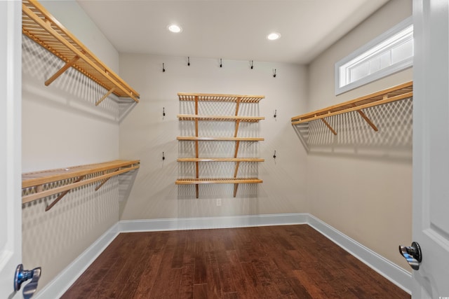 spacious closet featuring wood finished floors