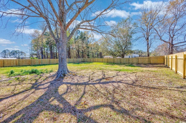 view of yard featuring a fenced backyard