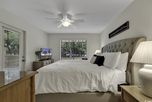 118 Hartland Dr Unit 12-C, Myrtle Beach, SC 29572 - bedroom featuring multiple windows, a textured ceiling, and ceiling fan