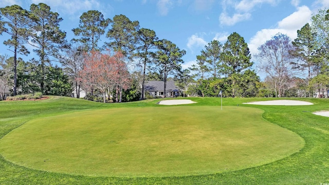 308 Dendy Ct, Myrtle Beach, SC 29579 - view of home's community featuring a putting area, golf course view, view of scattered trees, and a lawn