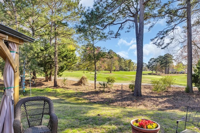 308 Dendy Ct, Myrtle Beach, SC 29579 - view of green lawn with view of golf course and view of scattered trees