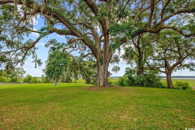 529 Oak Lawn Rd, Georgetown, SC 29440 - view of yard