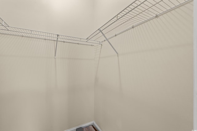 5022 Belleglen Ct Unit 202, Myrtle Beach, SC 29579 - view of spacious closet