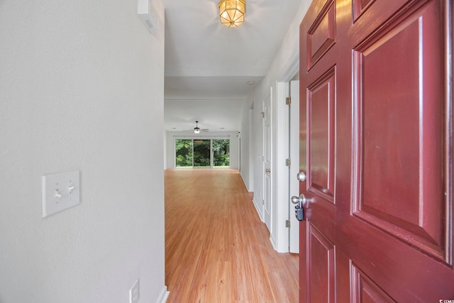363 Junco Cir, Longs, SC 29568 - hall featuring light wood-style floors and baseboards