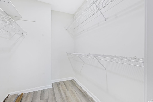 walk in closet featuring wood finished floors