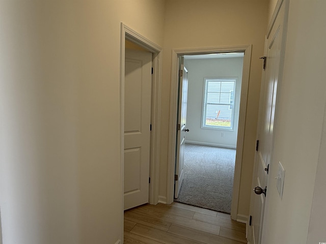 1025 Jase Dr, Longs, SC 29568 - hallway featuring light wood-style floors and baseboards