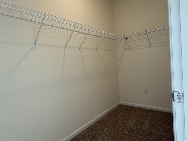1025 Jase Dr, Longs, SC 29568 - spacious closet with carpet