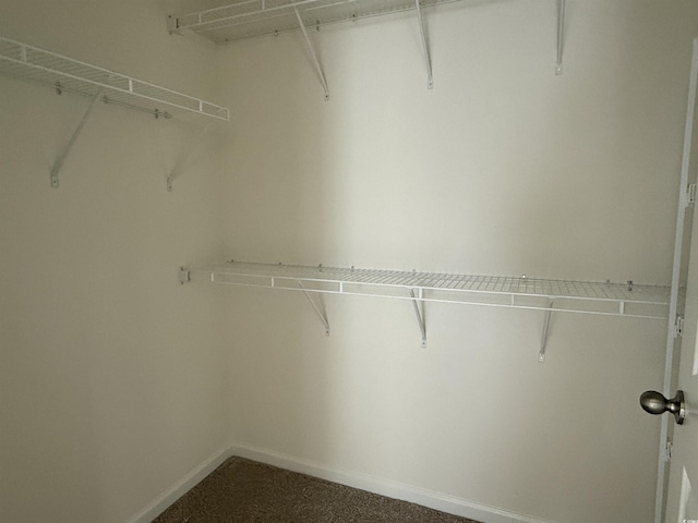 1025 Jase Dr, Longs, SC 29568 - view of spacious closet