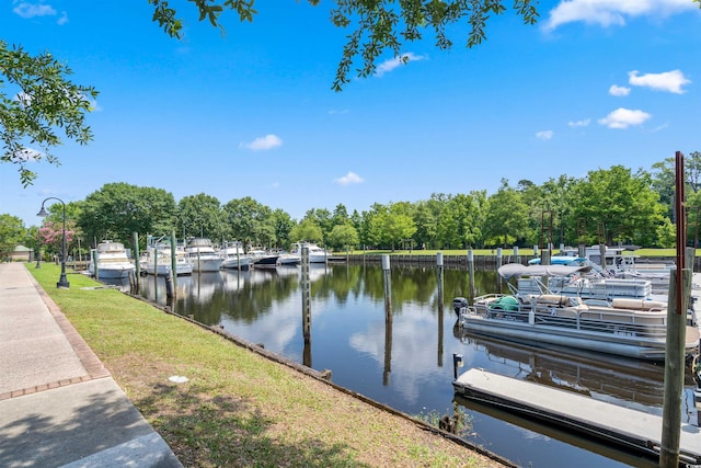dock area with a water view