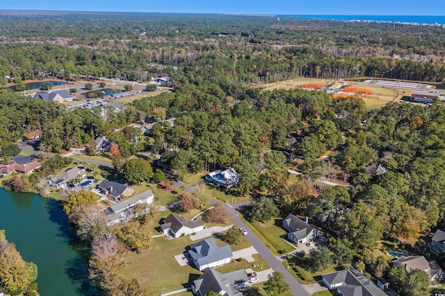 160 Shipmaster Ave, Pawleys Island, SC 29585 - aerial view of property's location featuring a forest and a large body of water