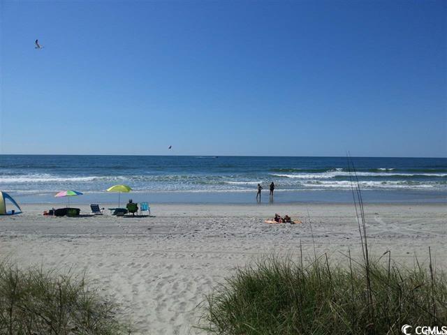 703 S 1st Ave S Unit 34D, North Myrtle Beach, SC 29582 - water view with local beach