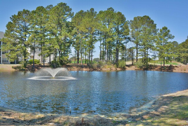 5030 Windsor Green Way Unit 203, Myrtle Beach, SC 29579 - property view of water