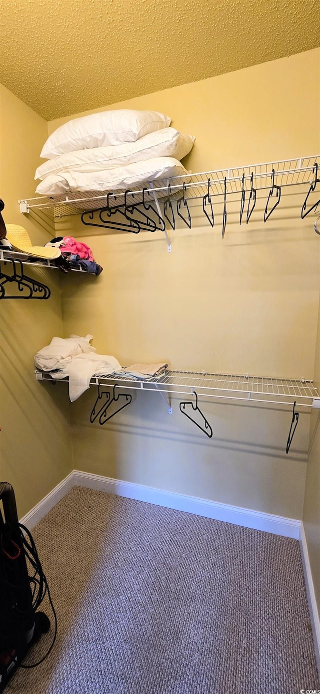 1100 Commons Blvd Unit 606, Myrtle Beach, SC 29572 - spacious closet featuring carpet flooring