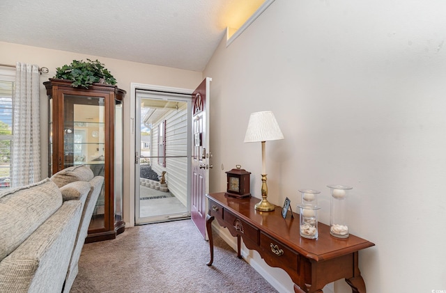 interior space featuring carpet and a wealth of natural light