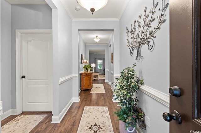 129 Astoria Park Loop, Conway, SC 29526 - hallway featuring dark wood-style flooring, ornamental molding, and baseboards