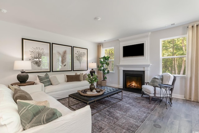 living area with baseboards, a glass covered fireplace, plenty of natural light, and wood finished floors