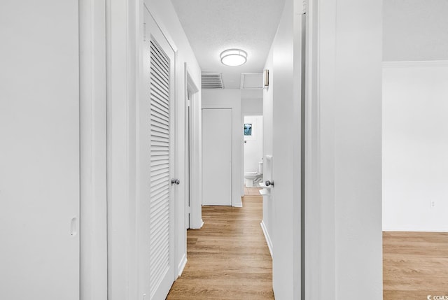 3783 Vine St Unit 3783, Myrtle Beach, SC 29577 - hallway featuring visible vents, light wood-style floors, and a textured ceiling