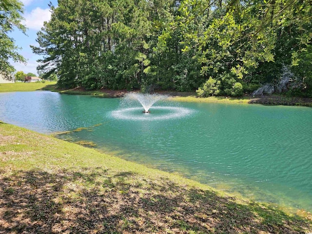 view of water feature