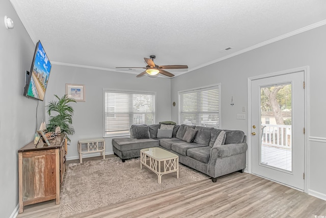 6001-310 S Kings Hwy, Myrtle Beach, SC 29575 - living area with a textured ceiling, light wood-style flooring, ceiling fan, healthy amount of natural light, and crown molding