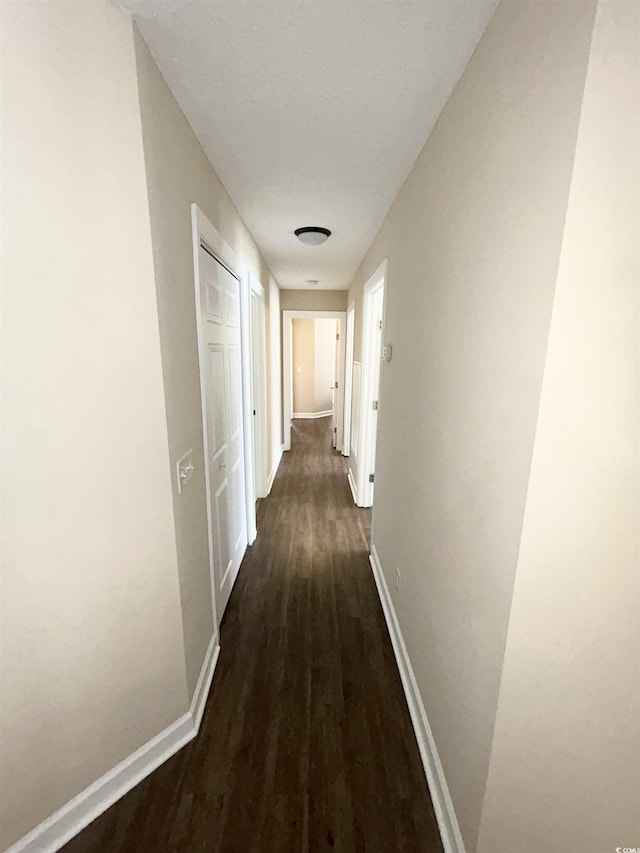 4370 Crepe Myrtle Ct Unit F, Murrells Inlet, SC 29576 - hallway featuring dark wood-type flooring and baseboards