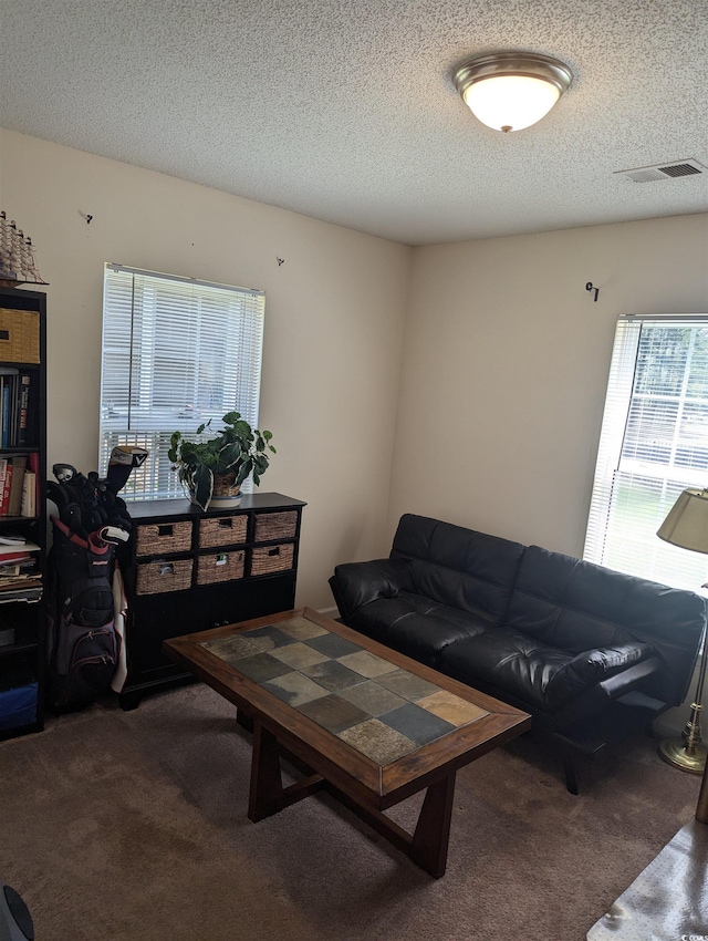 living area featuring carpet and a textured ceiling