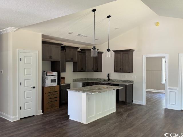 1397 Knotty Branch Rd, Conway, SC 29527 - kitchen featuring a sink, a center island, dark wood-style floors, dark brown cabinets, and high vaulted ceiling