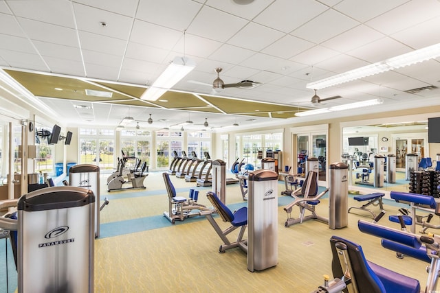 1478 Suncrest Dr, Myrtle Beach, SC 29577 - exercise room featuring carpet, plenty of natural light, ceiling fan, and a drop ceiling