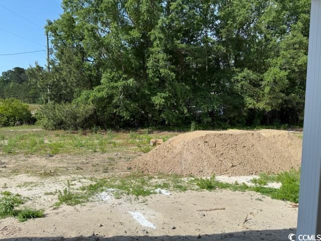 1395 Knotty Branch Rd, Conway, SC 29527 - photo 3