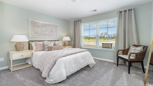 193 Country Grove Way, Galivants Ferry, SC 29544 - bedroom featuring baseboards, visible vents, and carpet