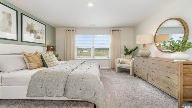 193 Country Grove Way, Galivants Ferry, SC 29544 - bedroom featuring visible vents, light colored carpet, and baseboards