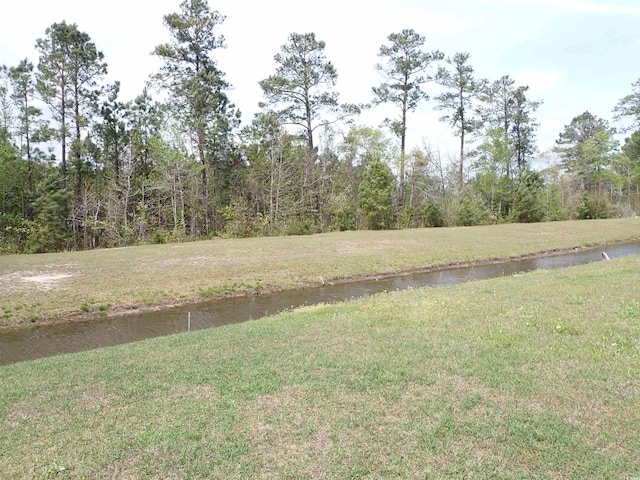 447 Archer Ct, Conway, SC 29526 - view of yard