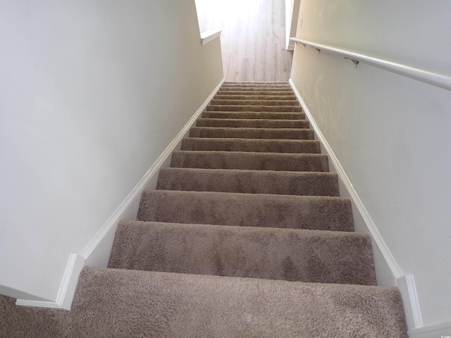447 Archer Ct, Conway, SC 29526 - photo 23
