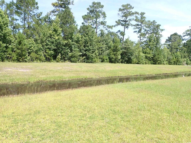 447 Archer Ct, Conway, SC 29526 - photo 7