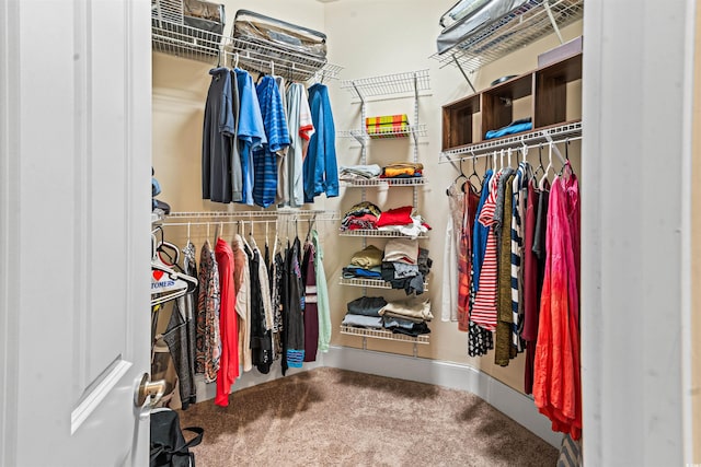2790 Howard Ave Unit D, Myrtle Beach, SC 29577 - spacious closet with carpet floors