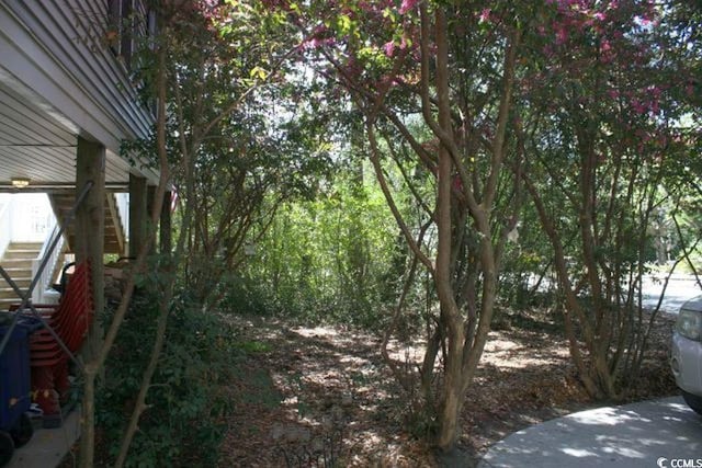 view of yard with stairs